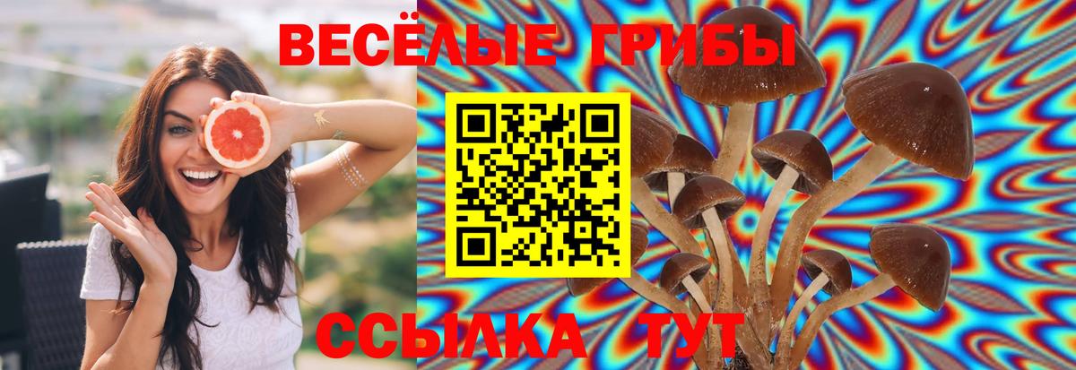 Галлюциногенные грибы GOLDEN TEACHER Тайшет